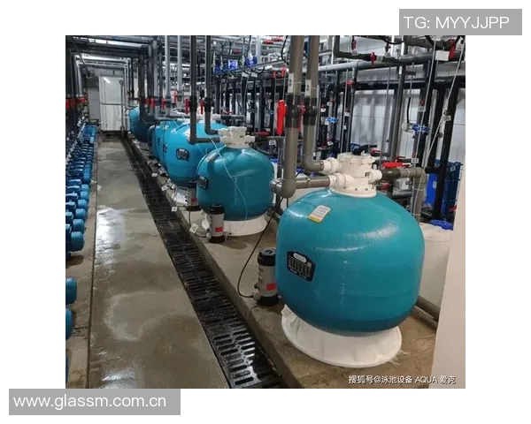 泳池水质监测与设备保养的全面指南及常见问题解决方案